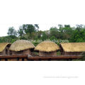 thatch roofing material for building construction